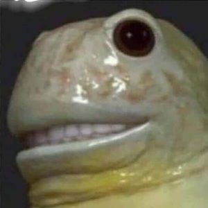 Meet your Posher, Grant